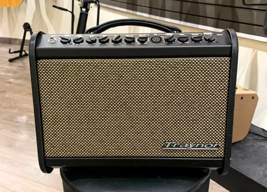Traynor - 65 Watt Acoustic Amp w/Effects